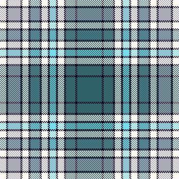 first dive into the frigid water