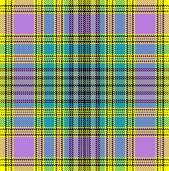 electric slide plaid