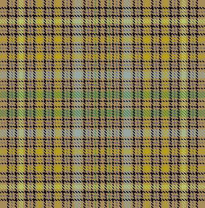 Lauren's pants plaid