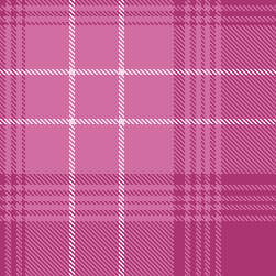 feminine Plaid