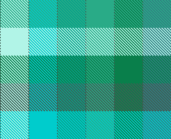 silly people silly ducks