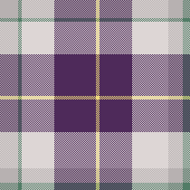 Grape Vine Plaid7