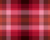 plaid winter5