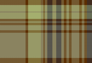 plaid winter12
