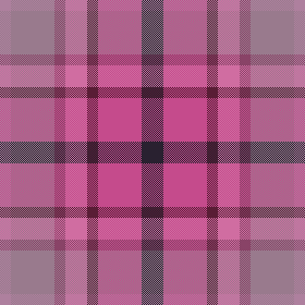 plaid winter7
