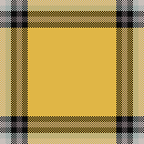 plaid winter7