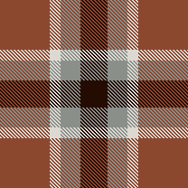 plaid winter7
