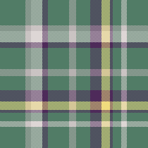plaid winter7