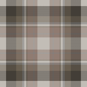 plaid winter7