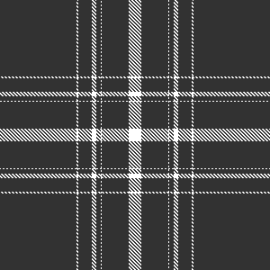 plaid winter7