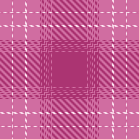 plaid winter7
