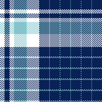 MARINE FINE STRIPE PLAID