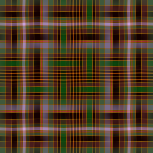 the forest is awakening to the night