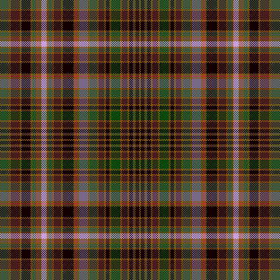 the owls are aflight