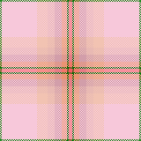 The most subtle pink rose