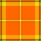 these orange roses always pick me up