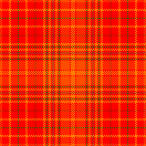 vibrant red orange rose