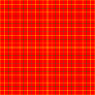 cinnamon scented red orange rose