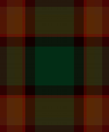 Vixen's warm  up blanket