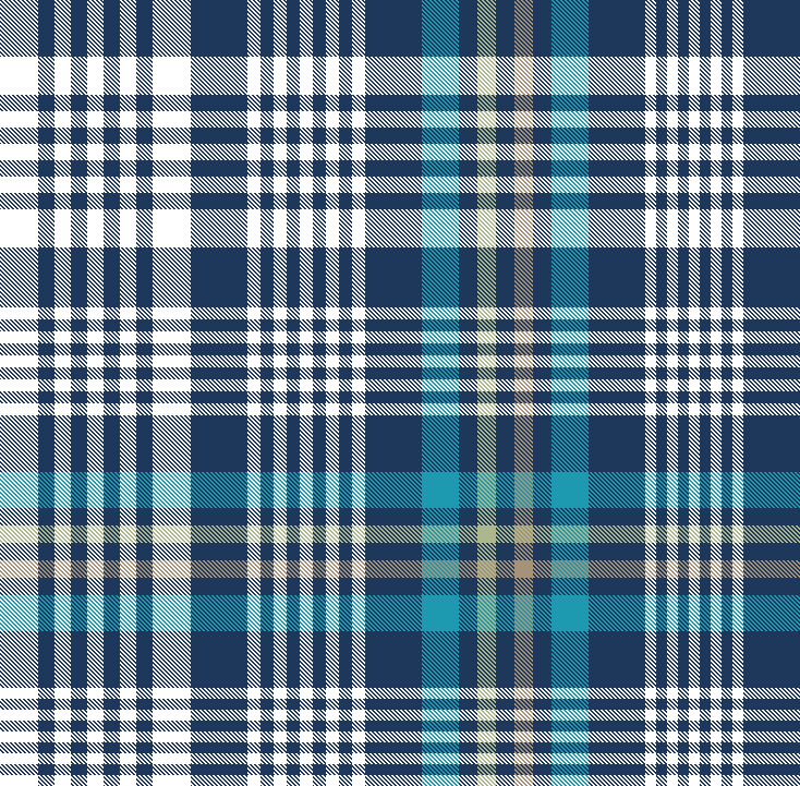 NAVY TEAL APPLE PLAID 2