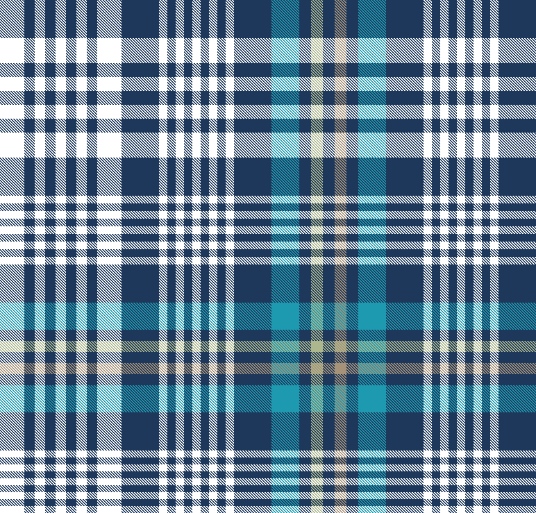 NAVY TEAL APPLE PLAID 4