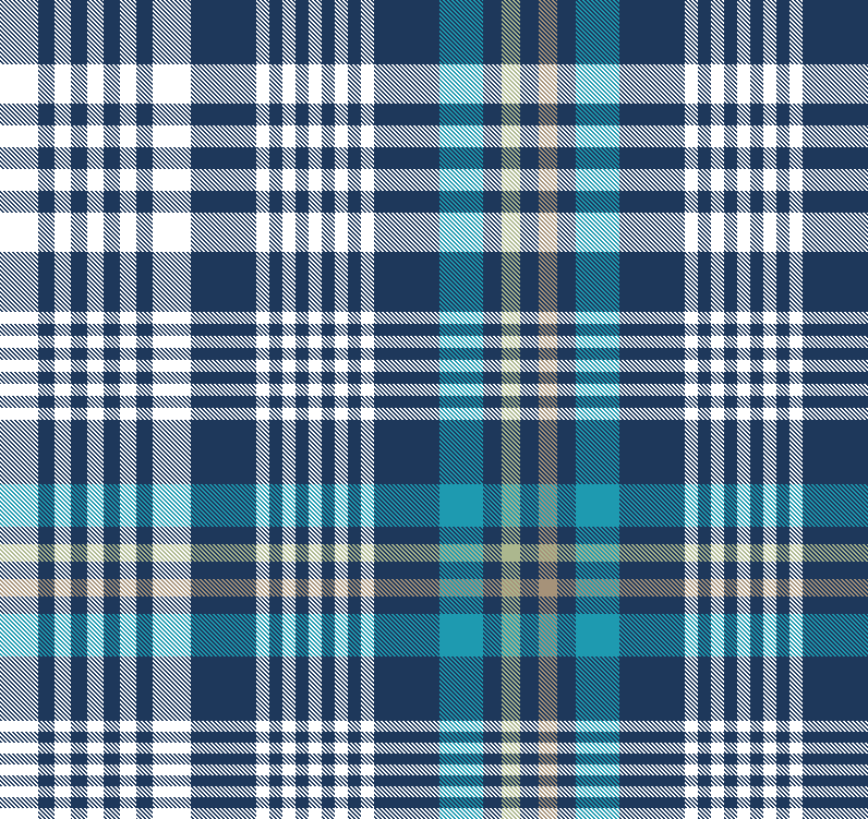 NAVY TEAL APPLE PLAID 5