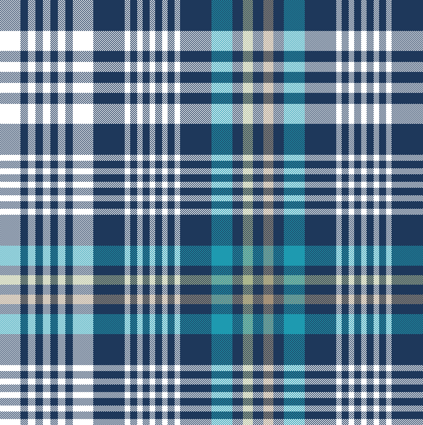 NAVY TEAL APPLE PLAID 8