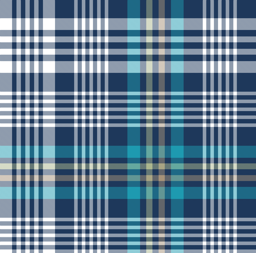 NAVY TEAL APPLE PLAID 8