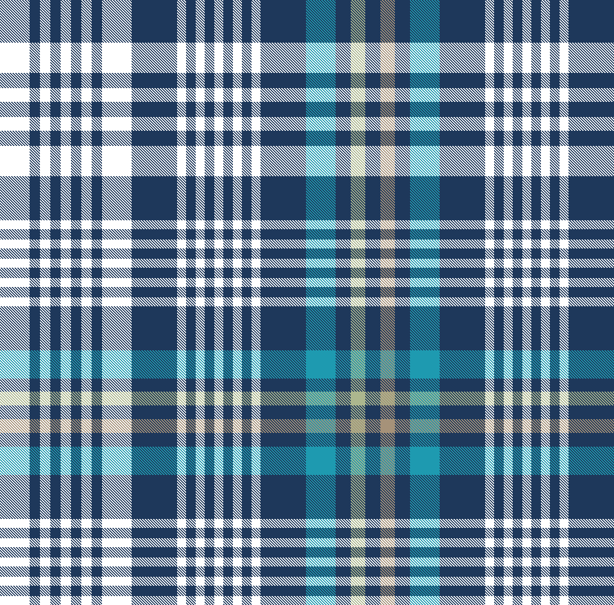 NAVY TEAL APPLE PLAID 9