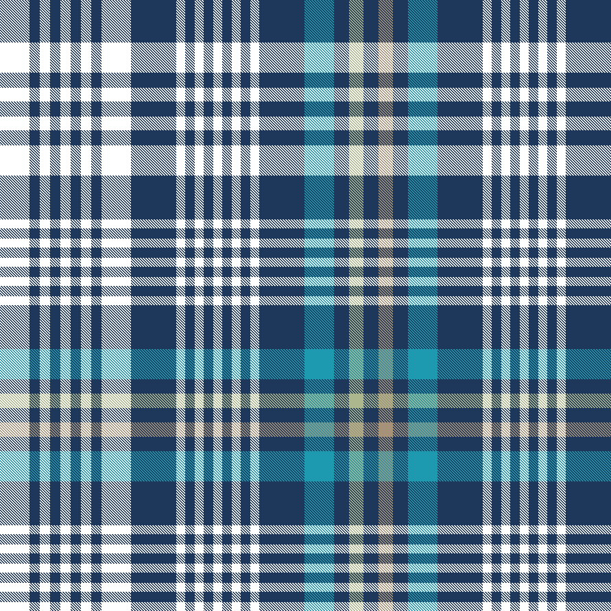 NAVY TEAL APPLE PLAID 10