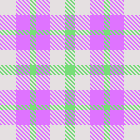 Holly Tartan 3