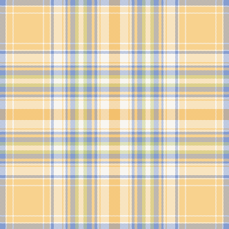 MB 6月チェック　オレンジ