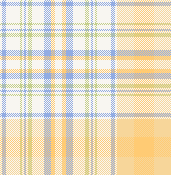 MB 6月先染めチェック　オレンジ