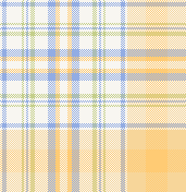 MB 6月先染めチェック　オレンジ