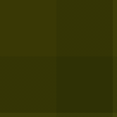 와비사비 YELLOW 1