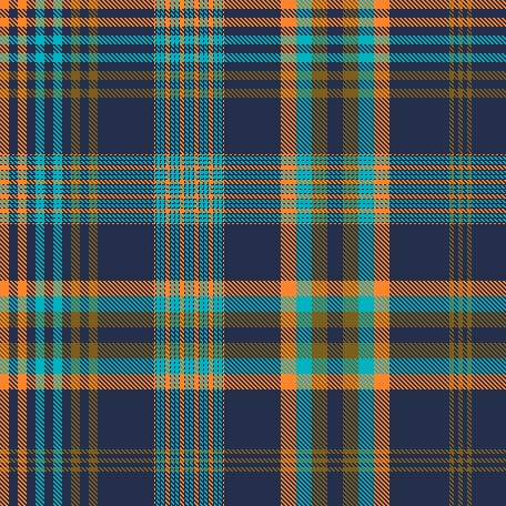 THIS IS THE LAST TIME PLAID