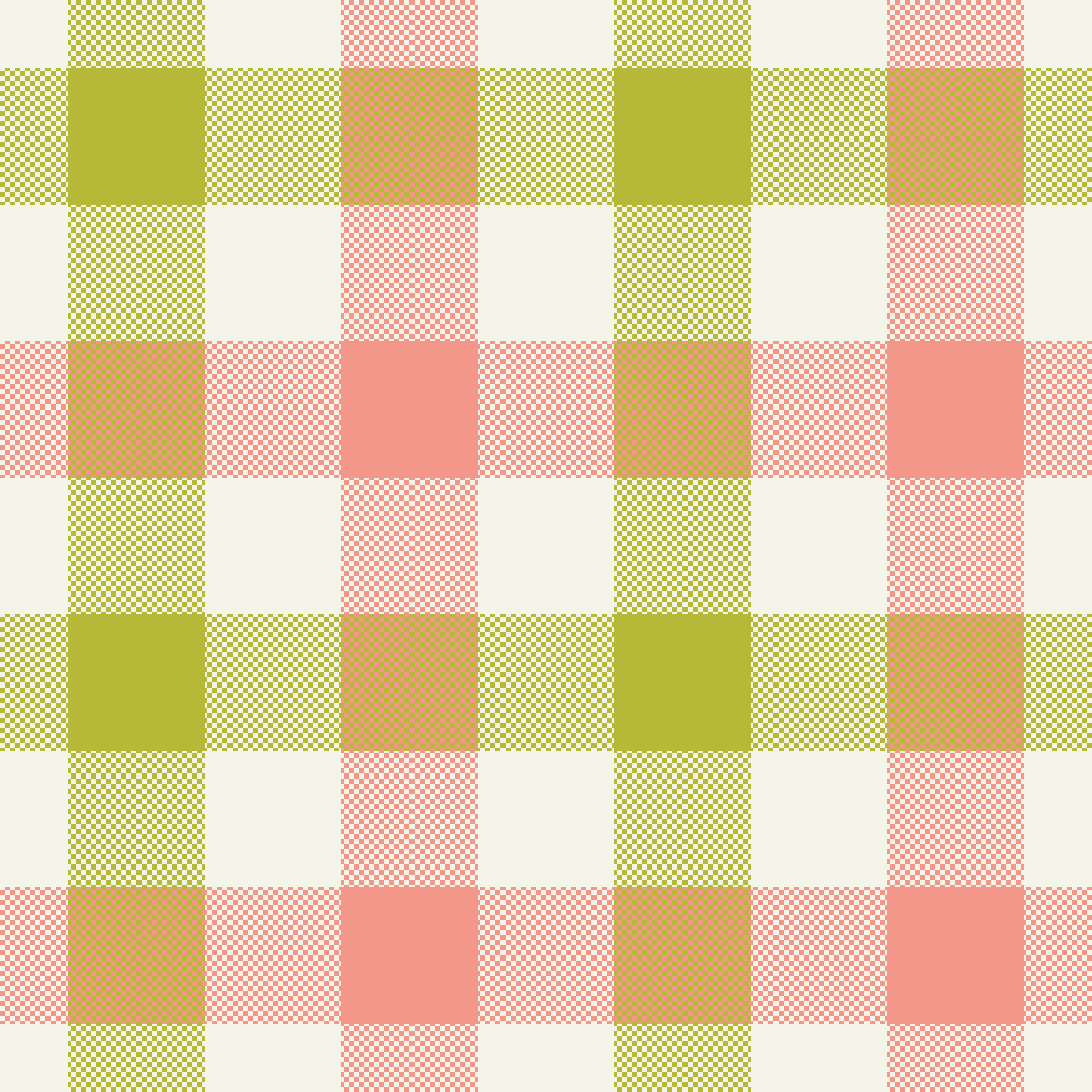 watermelon gingham