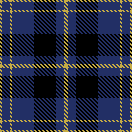 GOLDEN BLUE TARTAN 2