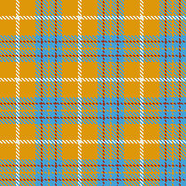 HT mustard/blue twill