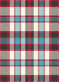 Basic Plaid