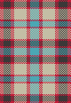 Basic Plaid1