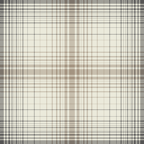 RVI 20.11 Girls check pant v2