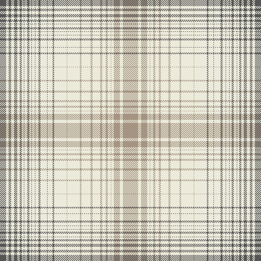 RVI 20.11 Girls check pant v2