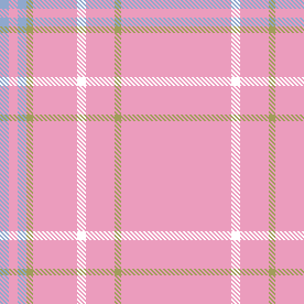 Pinaki-Ashraful-LPP_R_01-20.11.2025