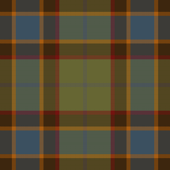 Plaid53
