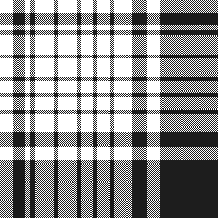 Pinaki-Ashraful-LPP_01.2-22.11.2025