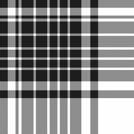 Pinaki-Ashraful-LPP_01.3-22.11.2025