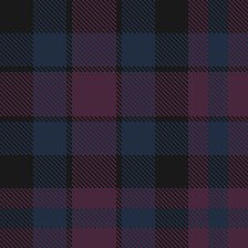 Pinaki-Ashraful-LPP_02-22.11.2025