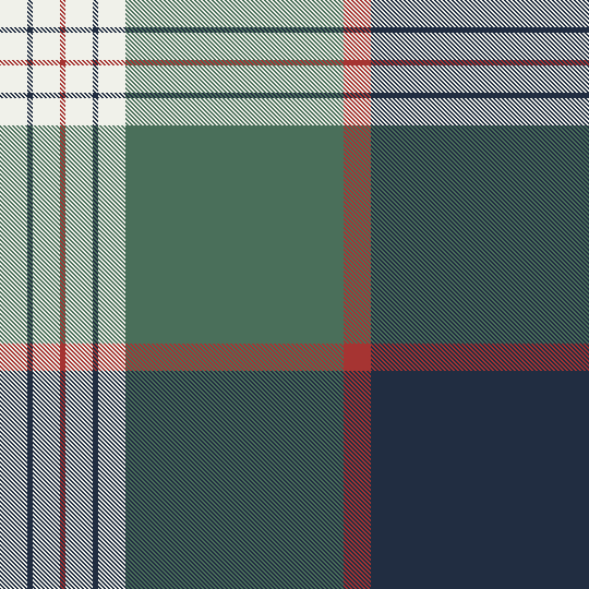 Pinaki-Ashraful-LPP_04.2-22.11.2025