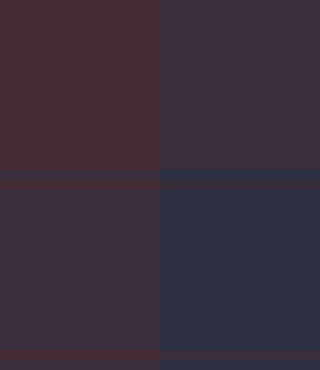 Pinaki-Ashraful-LPP_R08-24.11.2025